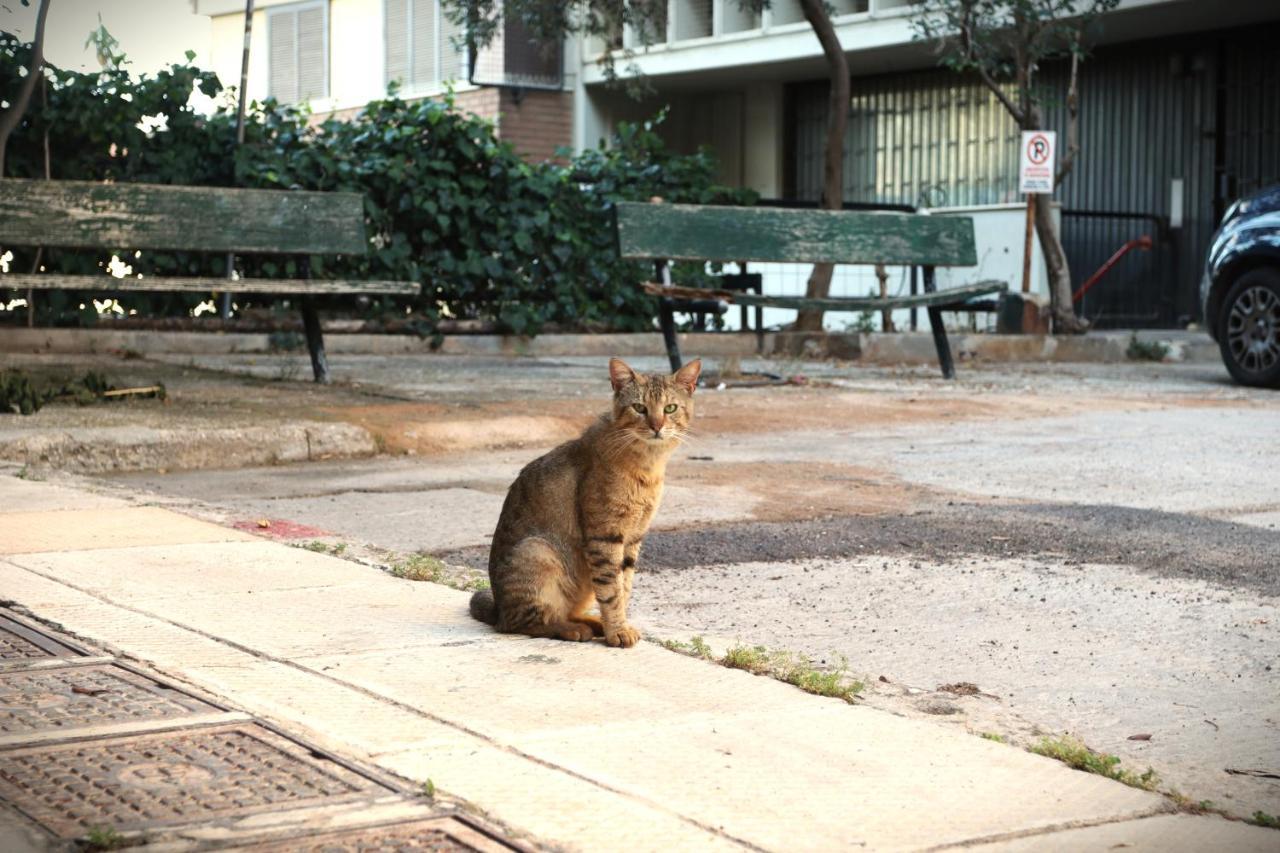Persey Apartment アテネ エクステリア 写真